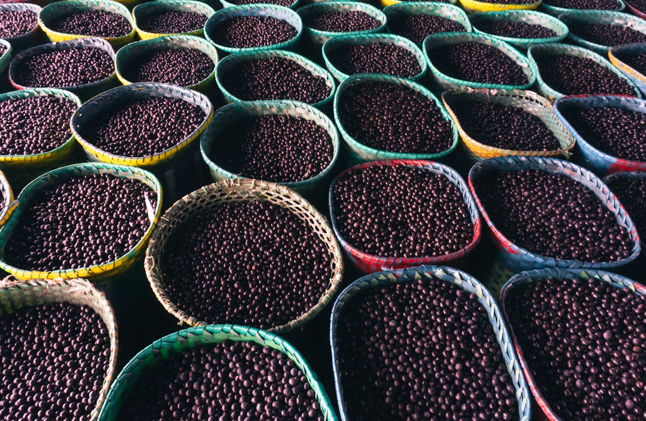 Acai: Fialové bobule, které chrání před stárnutím, rakovinou a podporují hubnutí